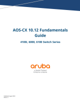 Aruba 6100 User guide