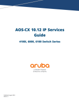 Aruba 6000 User guide