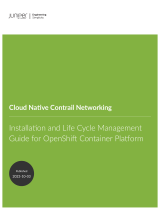 Juniper Cloud-Native Contrail Networking (CN2) User guide