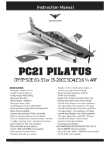 Phoenix ModelPC21 PILATUS