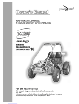 Hammerhead Dune Buggy GT250 Owner's manual