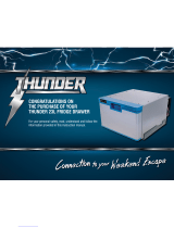 ThunderTDR02100