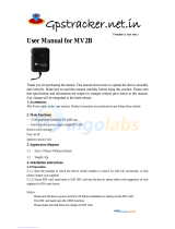 Ingolabs MV2B User manual