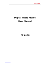 Great Wall PF A100 User manual