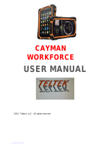 Teltek Cayman Workforce User manual