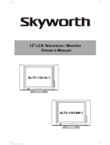 Skyworth SLTV-1963A User manual