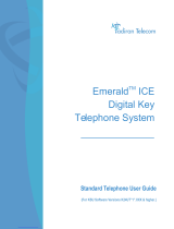 Tadiran Telecom Emerald ICE User manual