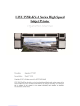 LIYU DMS PZR3204-KV-1 Operation Manuals