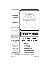 Craftsman 113.176110 Owner's manual