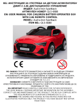 Audi BO Sportback painting red Operating instructions