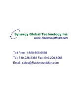 Synergy Global Technology ID-HE19Aw User manual