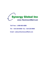 Synergy Global TechnologyLCD2U20-011