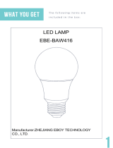 Zhejiang Eboy Technology EBE-BAW419 LED Lamp User manual
