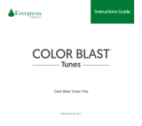 Evergreen Color Blast Tunes Tree Installation guide
