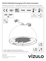 VIZULO Blackbird User manual