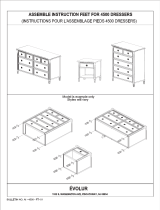 evolur 4500 User manual