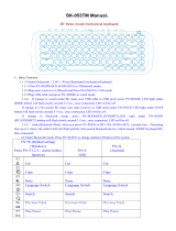 SQT Electronics SK-053TM User manual