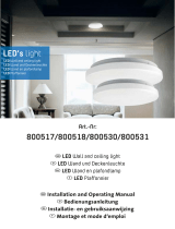 LED s light 800531 User manual