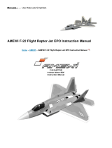 AmewiF-22 Flight Raptor Jet EPO