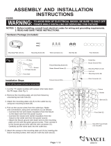 Vaxcel C0285 User manual