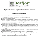 leafjoy ALCPRL0135105 Operating instructions