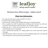 leafjoy FICPRL0045107 Operating instructions