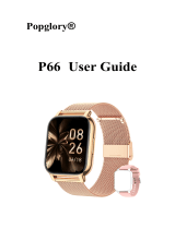 Popglory P66 User guide
