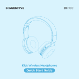 BIGGERFIVE BH100 User guide