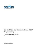 GOWINFPGA Development Board RISCV Programming