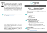 punQtum Q210 P User guide