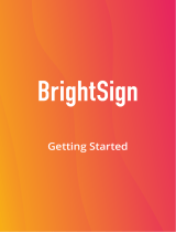 BrightSign Smart Glove User guide