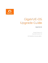 Gigamon GigaVUE-OS User guide