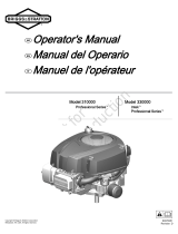 BRIGGS STRATTON 310000 User manual