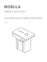 RIPPTON DRA MOBULA smart Battery User manual