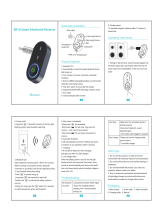 LEADINWAY BR10 User manual