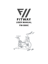 FITWAY FW-500IC User manual