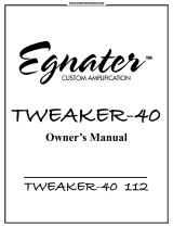 EgnaterTweaker 40 Guitar Amplifier Head