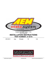 AEM Filters21-8316DS