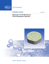 PallMustang® Q XT5 Membrane Chromatography Columns