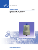 PallMustang® Q XT140 Membrane Chromatography Capsules