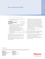 Thermo Fisher ScientificNon-denaturing PAGE