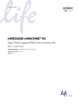 Thermo Fisher ScientificmMESSAGE mMACHINE® Kit