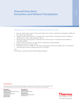 Thermo Fisher ScientificPhenol/Chloroform Extraction and Ethanol Precipitation