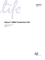 Thermo Fisher ScientificSilencersiRNA Transfection II Kit