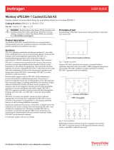 Thermo Fisher ScientificMonkey sPECAM-1 Coated ELISA Kit