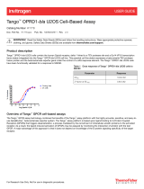 Thermo Fisher ScientificTango OPRD1-bla U2OS Cell–Based Assay