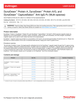 Thermo Fisher ScientificDynaGreen Protein A and DynaGreen Protein A/G