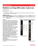 Thermo Fisher ScientificRiboRuler Low Range RNA Ladder