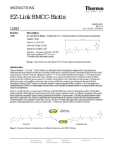 Thermo Fisher ScientificEZ-Link BMCC-Biotin