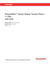 Thermo Fisher ScientificProcartaPlex Human Kidney Toxicity Panel 1 11-Plex